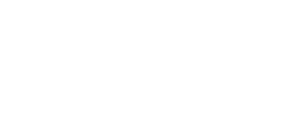 Hôtel Le Savoy